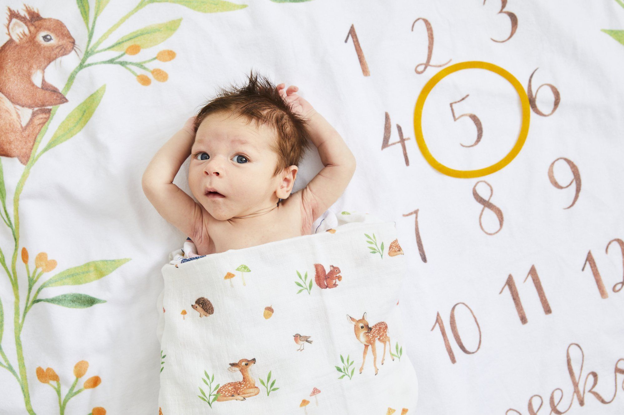 An Amazing First Year: A Monthly Chart of Baby’s Important Milestones