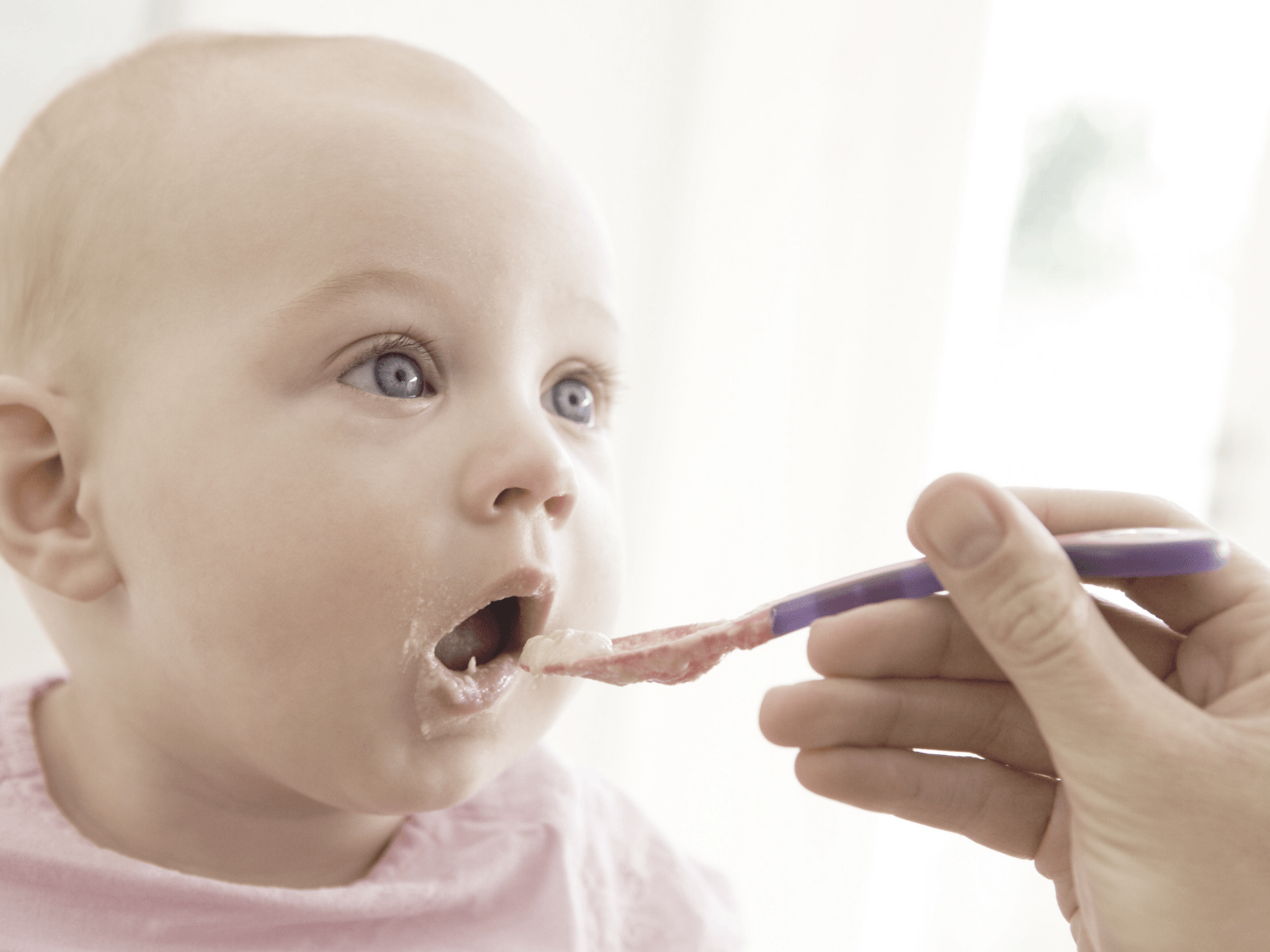 From Milk to Solids Baby Food Guidelines for The First Year